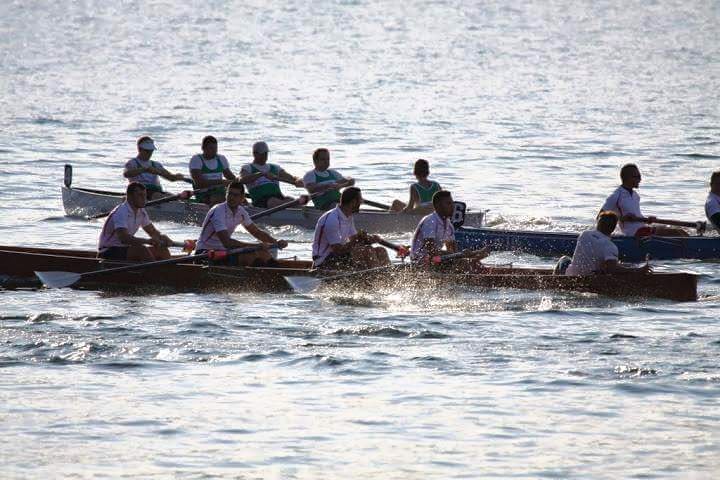 REGATTA-TMUN